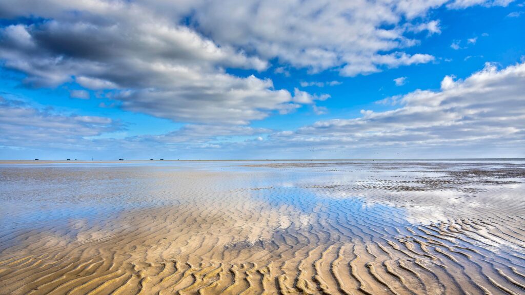 Wattenmeer
